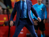 Luis de la Fuente, head coach of Spain, stops the ball during the UEFA Nations League 2024/25 League A Group A4 game between Spain and Denma...