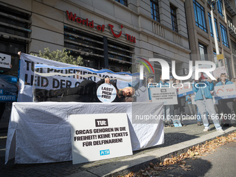 Singer Sarah Connor lies in a mini-aquarium and protests with PETA activists in front of a TUI travel agency for the release of orca whales...