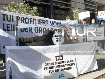 Singer Sarah Connor lies in a mini-aquarium and protests with PETA activists in front of a TUI travel agency for the release of orca whales...