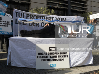 Singer Sarah Connor lies in a mini-aquarium and protests with PETA activists in front of a TUI travel agency for the release of orca whales...