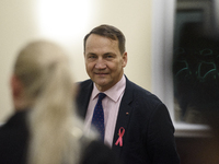 Polish Minister of Foreign Affairs Radoslaw Sikorski looks on as he arrives at the weekly ministerial meeting in Warsaw, Poland, on October...