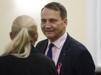 Polish Minister of Foreign Affairs Radoslaw Sikorski looks on as he arrives at the weekly ministerial meeting in Warsaw, Poland, on October...