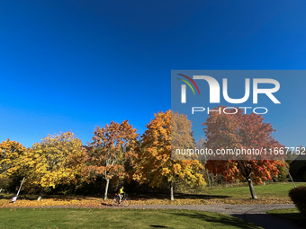 The picture shows trees changing color and preparing for winter in Linkoping, Sweden, on October 15, 2024. (