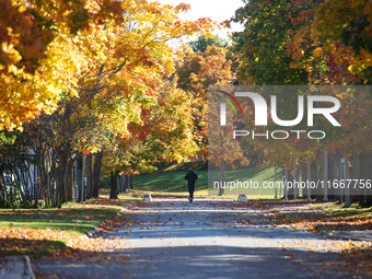 The picture shows trees changing color and preparing for winter in Linkoping, Sweden, on October 15, 2024. (