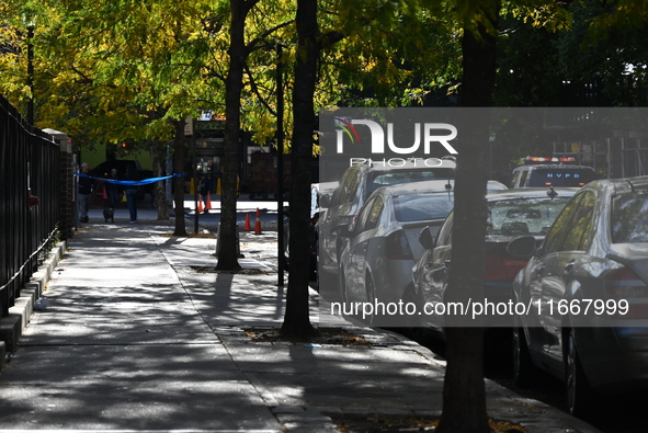 A 22-year-old man is fatally stabbed in the West Farms section of Bronx, New York, United States, on October 15, 2024. On October 15, 2024,...