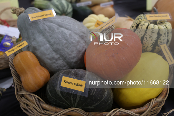 Vegetables are on display during the 180th annual Markham Fall Fair in Markham, Ontario, Canada, on October 5, 2024. 