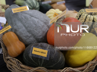 Vegetables are on display during the 180th annual Markham Fall Fair in Markham, Ontario, Canada, on October 5, 2024. (