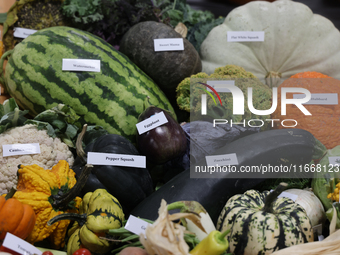 Vegetables are on display during the 180th annual Markham Fall Fair in Markham, Ontario, Canada, on October 5, 2024. (