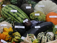 Vegetables are on display during the 180th annual Markham Fall Fair in Markham, Ontario, Canada, on October 5, 2024. (