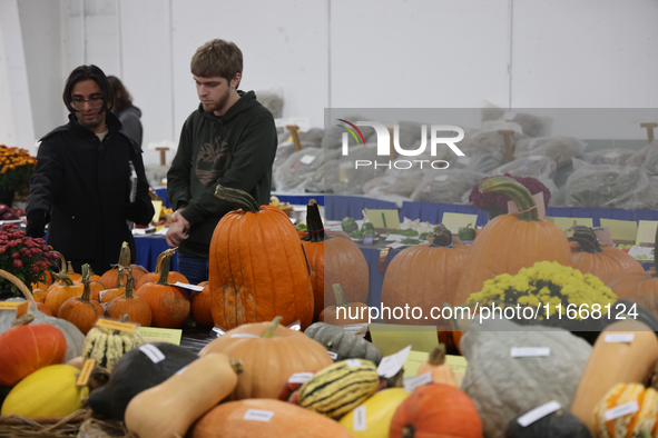 Prize-winning vegetables are on display during the 180th annual Markham Fall Fair in Markham, Ontario, Canada, on October 5, 2024. 