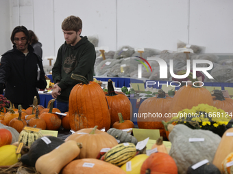 Prize-winning vegetables are on display during the 180th annual Markham Fall Fair in Markham, Ontario, Canada, on October 5, 2024. (