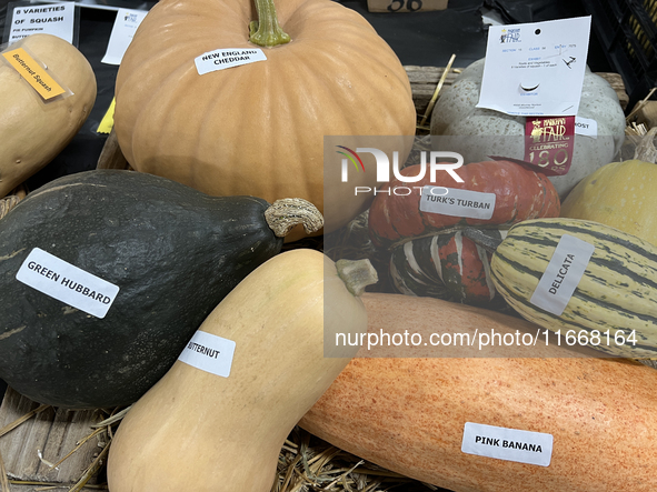 Vegetables are on display during the 180th annual Markham Fall Fair in Markham, Ontario, Canada, on October 5, 2024. 