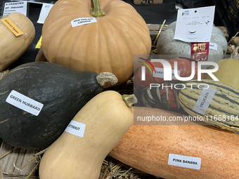 Vegetables are on display during the 180th annual Markham Fall Fair in Markham, Ontario, Canada, on October 5, 2024. (