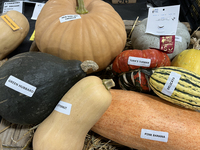 Vegetables are on display during the 180th annual Markham Fall Fair in Markham, Ontario, Canada, on October 5, 2024. (