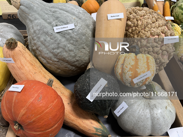 Vegetables are on display during the 180th annual Markham Fall Fair in Markham, Ontario, Canada, on October 5, 2024. 