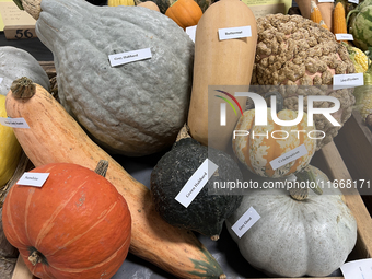 Vegetables are on display during the 180th annual Markham Fall Fair in Markham, Ontario, Canada, on October 5, 2024. (