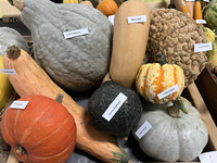 Vegetables are on display during the 180th annual Markham Fall Fair in Markham, Ontario, Canada, on October 5, 2024. (