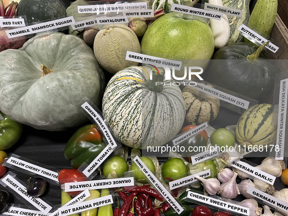 Vegetables are on display during the 180th annual Markham Fall Fair in Markham, Ontario, Canada, on October 5, 2024. 