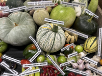 Vegetables are on display during the 180th annual Markham Fall Fair in Markham, Ontario, Canada, on October 5, 2024. (