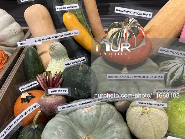 Vegetables are on display during the 180th annual Markham Fall Fair in Markham, Ontario, Canada, on October 5, 2024. 