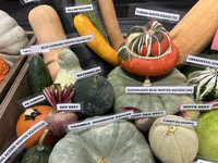 Vegetables are on display during the 180th annual Markham Fall Fair in Markham, Ontario, Canada, on October 5, 2024. (