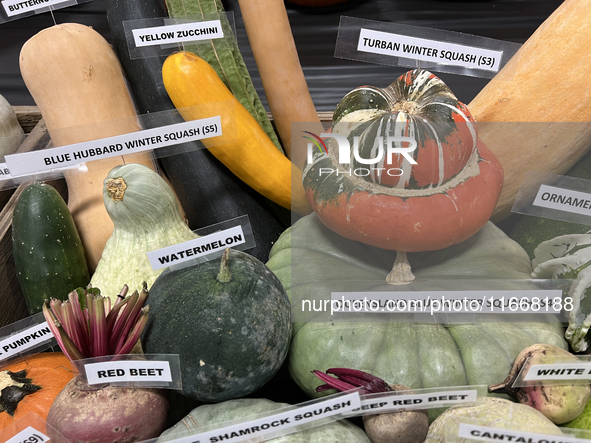 Vegetables are on display during the 180th annual Markham Fall Fair in Markham, Ontario, Canada, on October 5, 2024. 