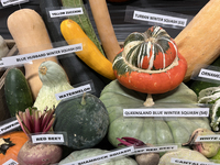 Vegetables are on display during the 180th annual Markham Fall Fair in Markham, Ontario, Canada, on October 5, 2024. (