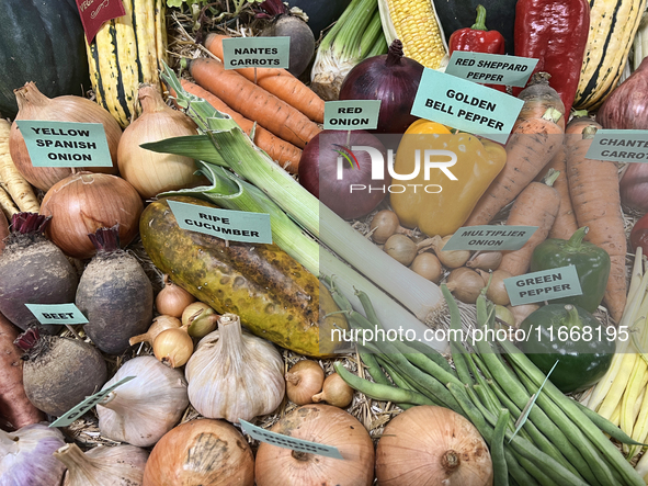 Vegetables are on display during the 180th annual Markham Fall Fair in Markham, Ontario, Canada, on October 5, 2024. 