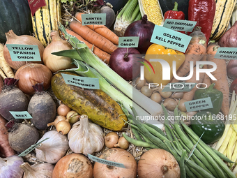 Vegetables are on display during the 180th annual Markham Fall Fair in Markham, Ontario, Canada, on October 5, 2024. (