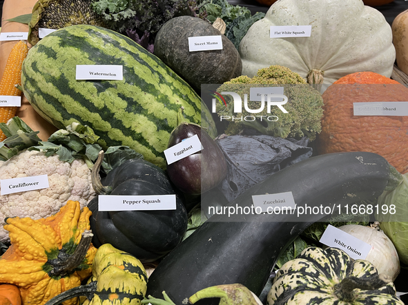 Vegetables are on display during the 180th annual Markham Fall Fair in Markham, Ontario, Canada, on October 5, 2024. 