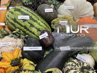 Vegetables are on display during the 180th annual Markham Fall Fair in Markham, Ontario, Canada, on October 5, 2024. (