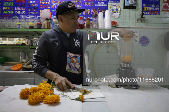 Pulque is prepared from Cempasuchil flower petals in Mexico City, Mexico, on the eve of the Day of the Dead. Pulque is an alcoholic beverage...