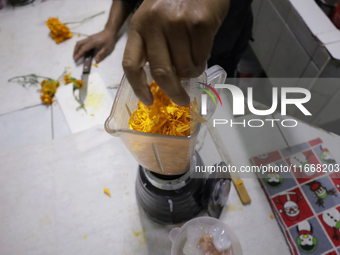 Pulque is prepared from Cempasuchil flower petals in Mexico City, Mexico, on the eve of the Day of the Dead. Pulque is an alcoholic beverage...