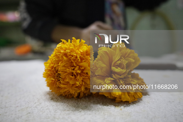 View of Cempasuchil flower petals in Mexico City, Mexico, on the eve of the Day of the Dead. Pulque is an alcoholic beverage of pre-Hispanic...