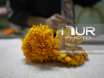 View of Cempasuchil flower petals in Mexico City, Mexico, on the eve of the Day of the Dead. Pulque is an alcoholic beverage of pre-Hispanic...