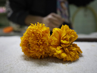 View of Cempasuchil flower petals in Mexico City, Mexico, on the eve of the Day of the Dead. Pulque is an alcoholic beverage of pre-Hispanic...