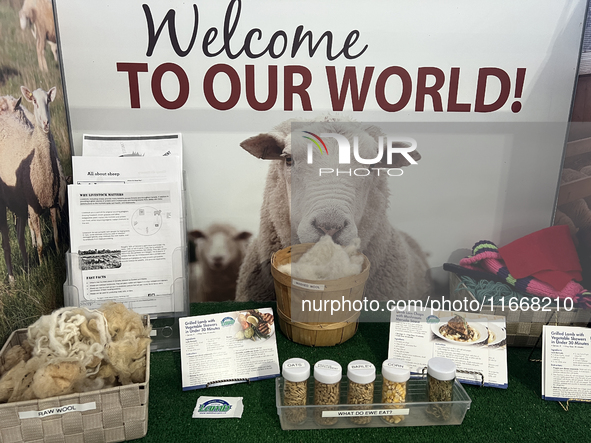 Information on sheep is displayed during the 180th annual Markham Fall Fair in Markham, Ontario, Canada, on October 5, 2024. 