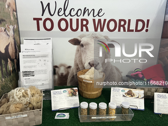 Information on sheep is displayed during the 180th annual Markham Fall Fair in Markham, Ontario, Canada, on October 5, 2024. (