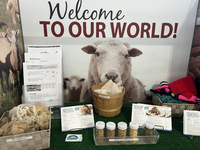 Information on sheep is displayed during the 180th annual Markham Fall Fair in Markham, Ontario, Canada, on October 5, 2024. (