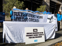 Singer Sarah Connor lies in a mini-aquarium and protests with Peta activists in front of a Tui travel agency for the release of orca whales...