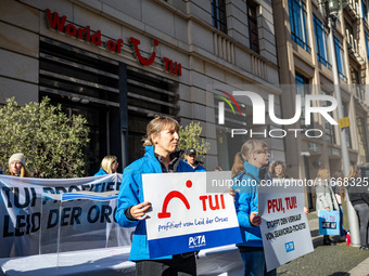 Singer Sarah Connor lies in a mini-aquarium and protests with Peta activists in front of a Tui travel agency for the release of orca whales...