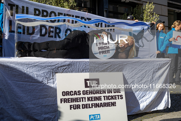 Singer Sarah Connor lies in a mini-aquarium and protests with Peta activists in front of a Tui travel agency for the release of orca whales...