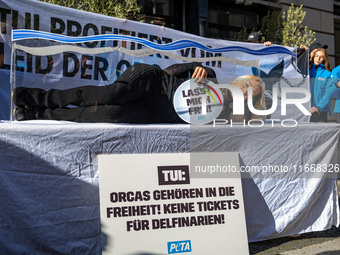 Singer Sarah Connor lies in a mini-aquarium and protests with Peta activists in front of a Tui travel agency for the release of orca whales...