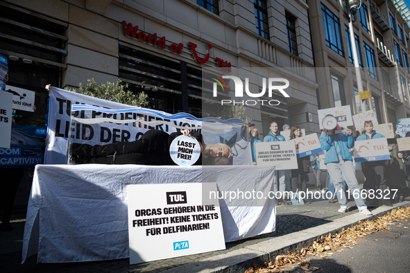 Singer Sarah Connor lies in a mini-aquarium and protests with Peta activists in front of a Tui travel agency for the release of orca whales...