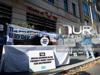 Singer Sarah Connor lies in a mini-aquarium and protests with Peta activists in front of a Tui travel agency for the release of orca whales...