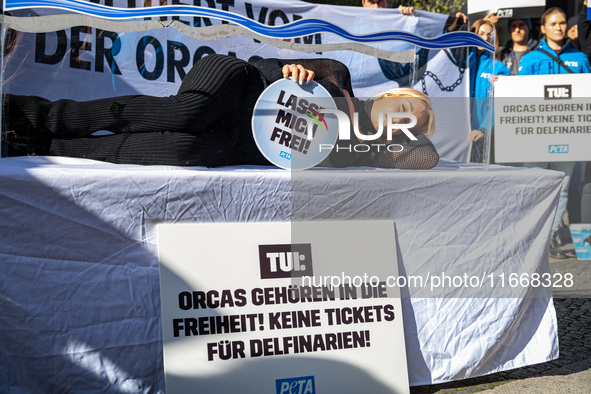 Singer Sarah Connor lies in a mini-aquarium and protests with Peta activists in front of a Tui travel agency for the release of orca whales...