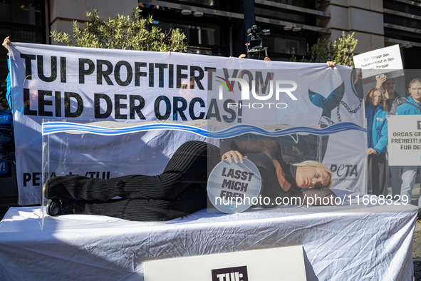 Singer Sarah Connor lies in a mini-aquarium and protests with Peta activists in front of a Tui travel agency for the release of orca whales...