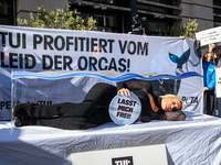 Singer Sarah Connor lies in a mini-aquarium and protests with Peta activists in front of a Tui travel agency for the release of orca whales...