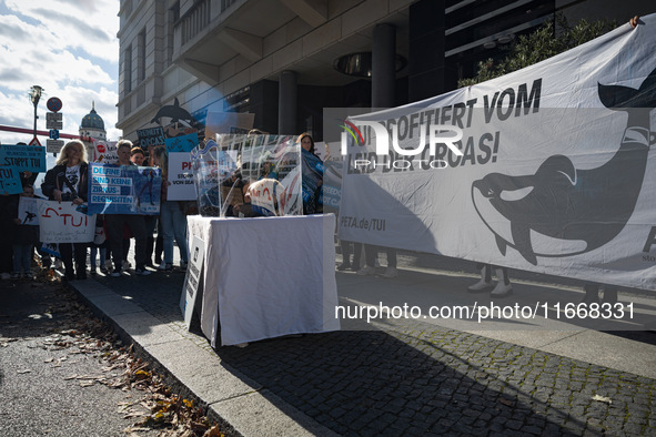 Singer Sarah Connor lies in a mini-aquarium and protests with Peta activists in front of a Tui travel agency for the release of orca whales...