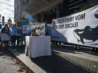 Singer Sarah Connor lies in a mini-aquarium and protests with Peta activists in front of a Tui travel agency for the release of orca whales...